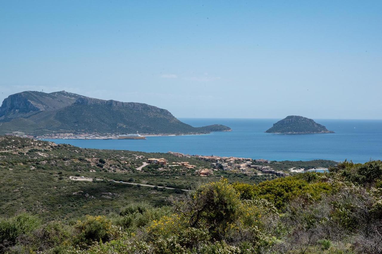 Casa Valery Wonderful Sea View Apartment Porto Rotondo Exterior photo